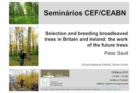 Cartaz_Savill 2015-03-18